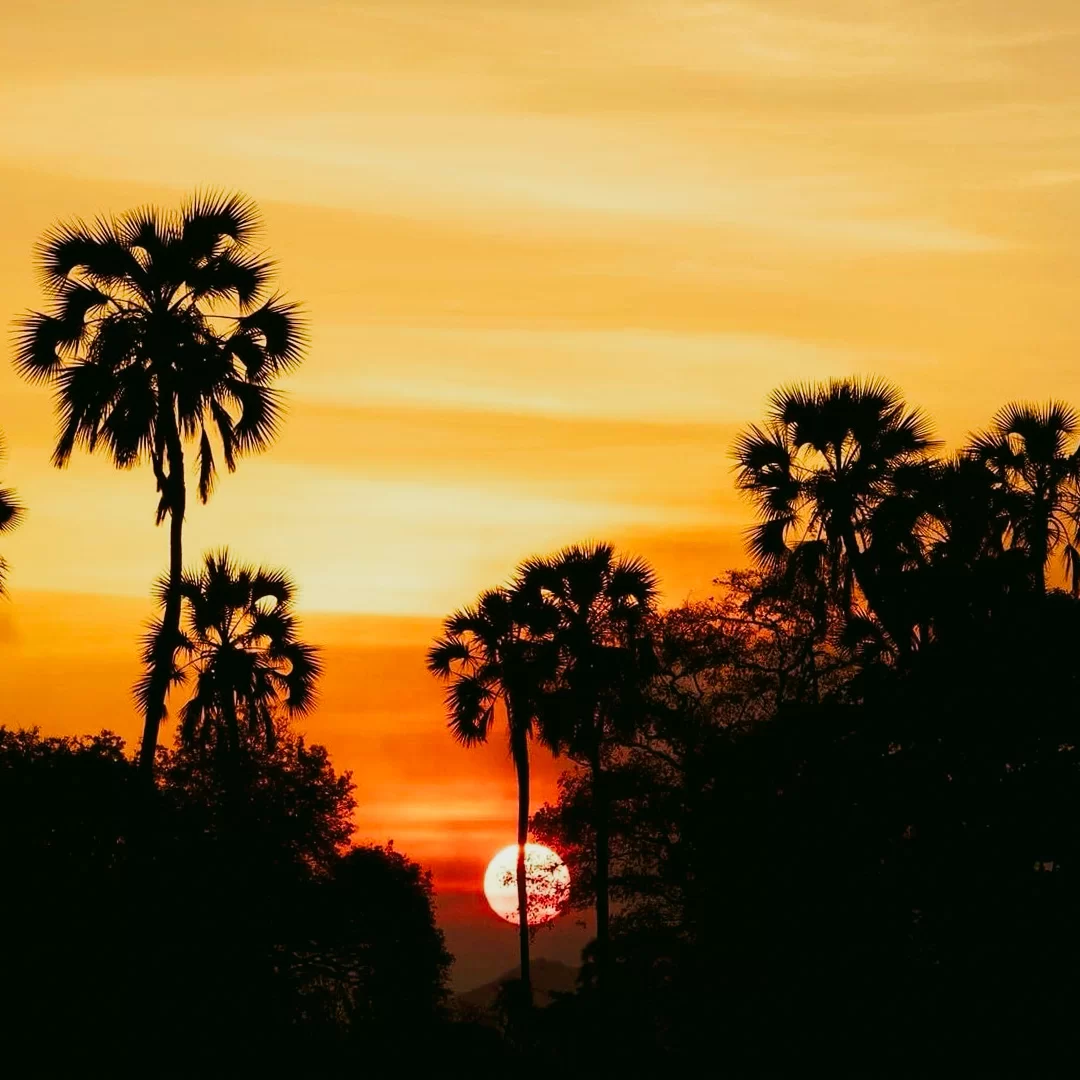 tramonto-tanzania-zanzibar-escursioni