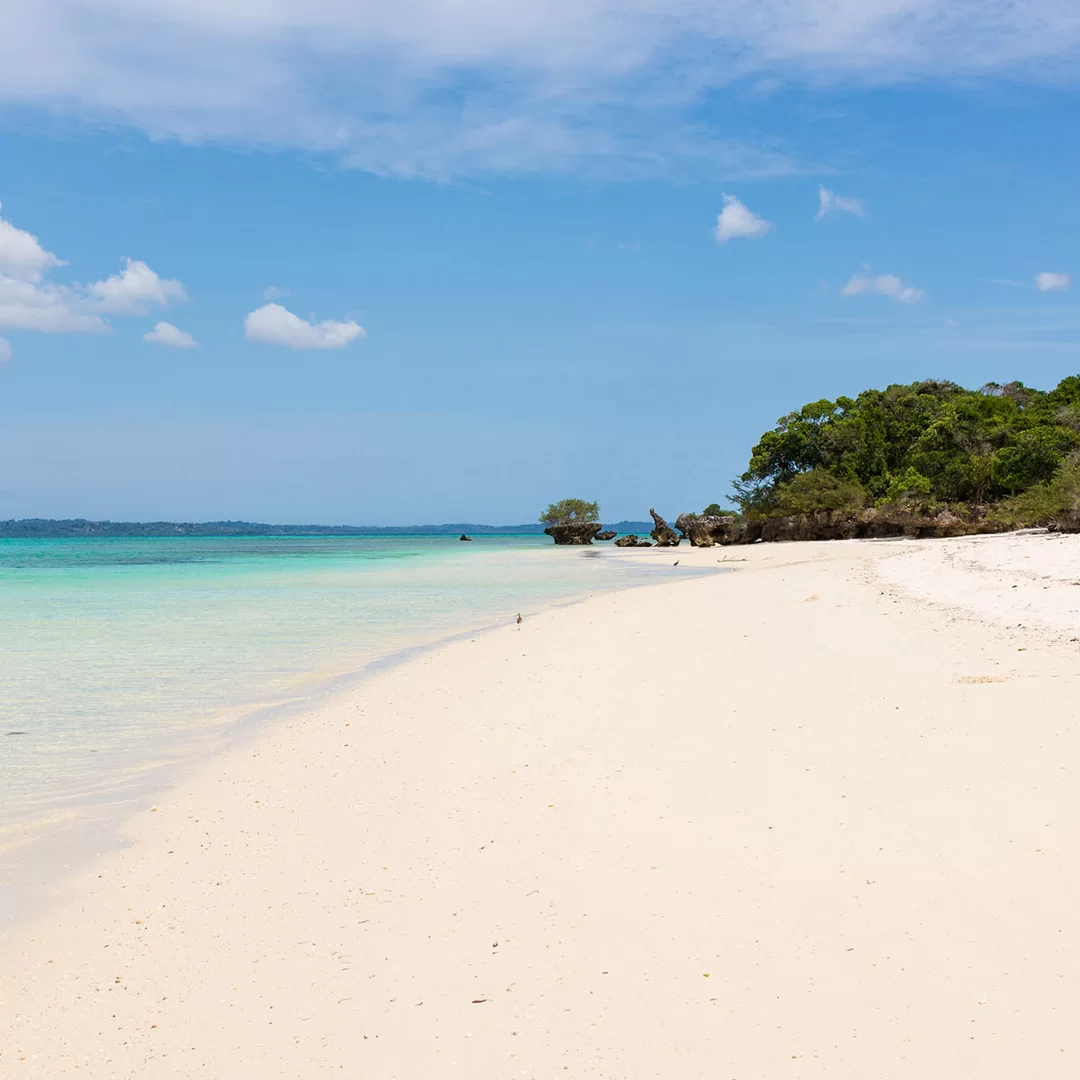 pemba-island-tanzania